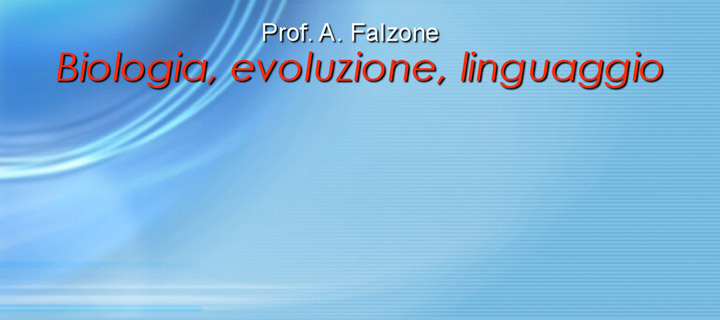 Slide psicobiologia del linguaggio